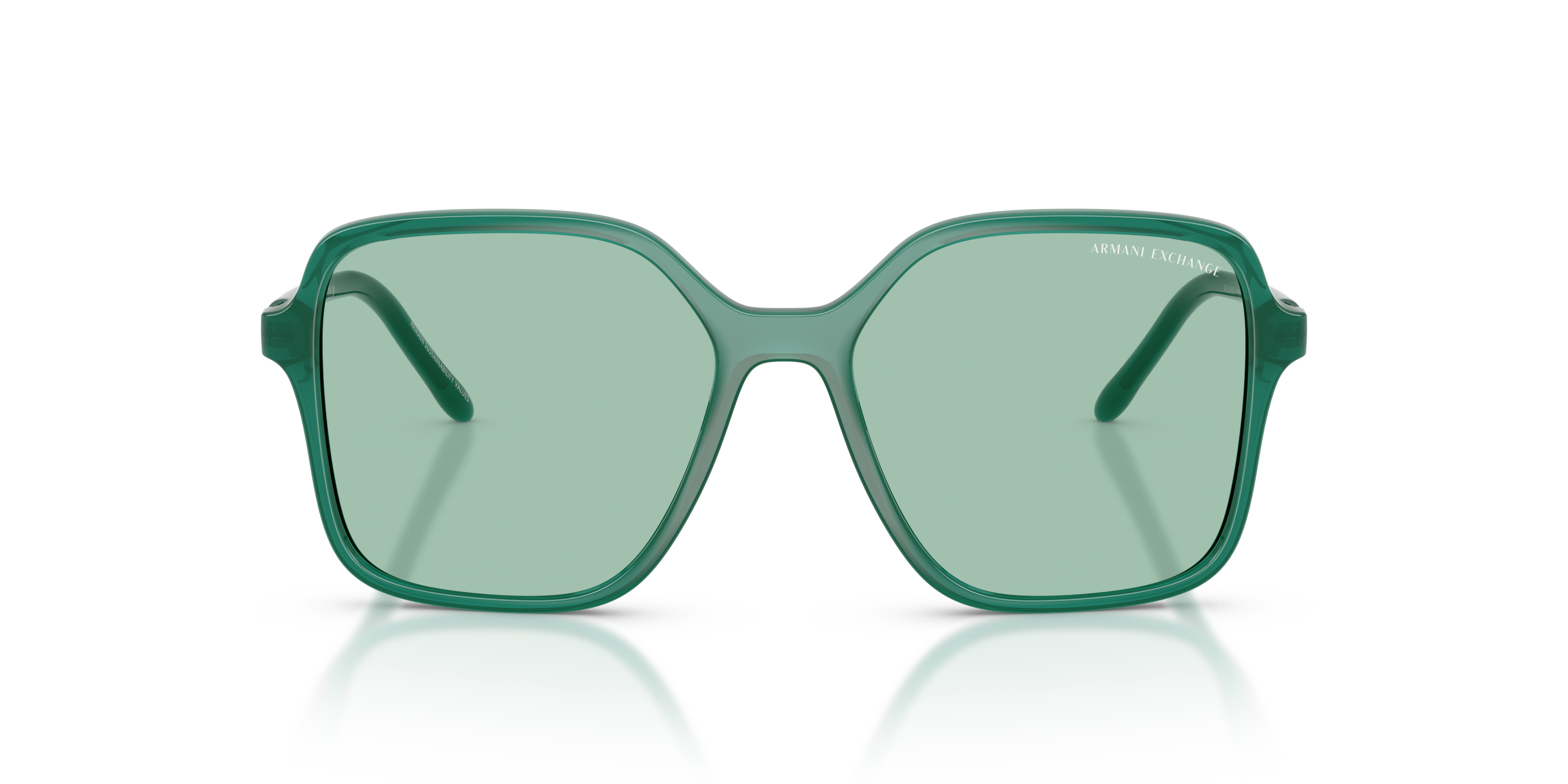 AX4163S