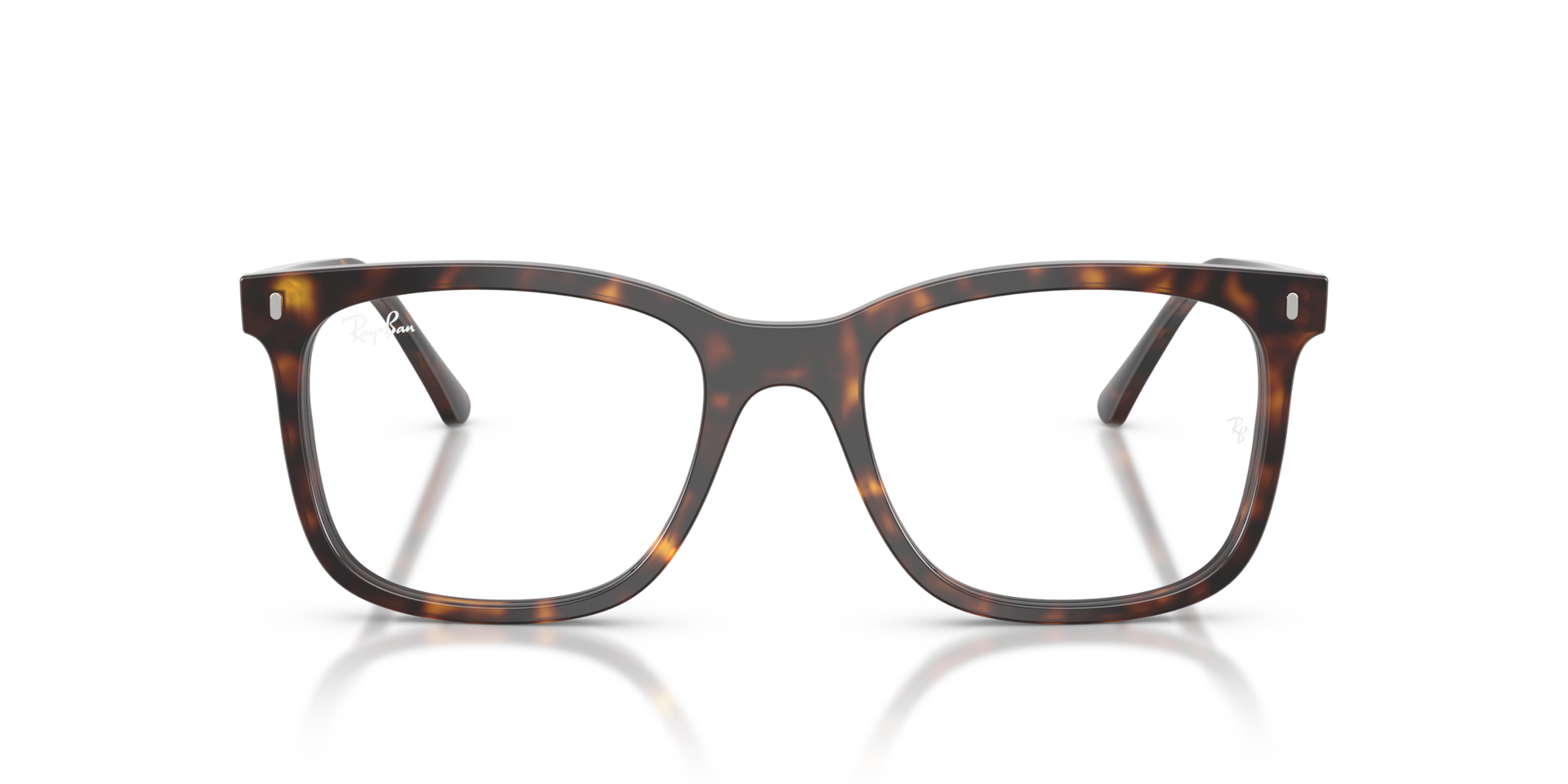 RB5446 Optics