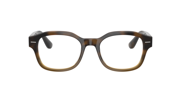 Brunello Cucinelli Man  Havana Ivy