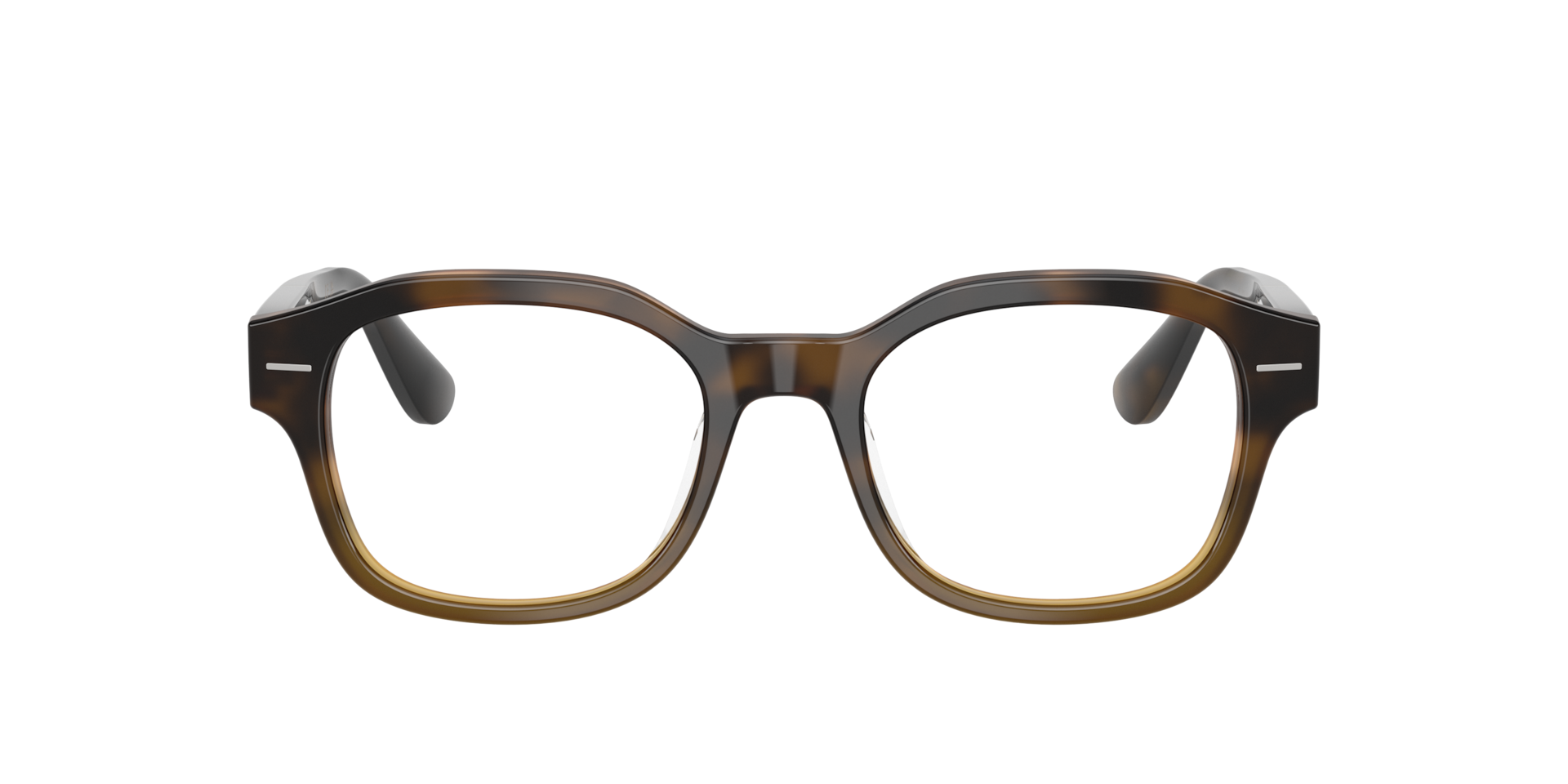 Brunello Cucinelli BC3010 Eyeglasses | LensCrafters