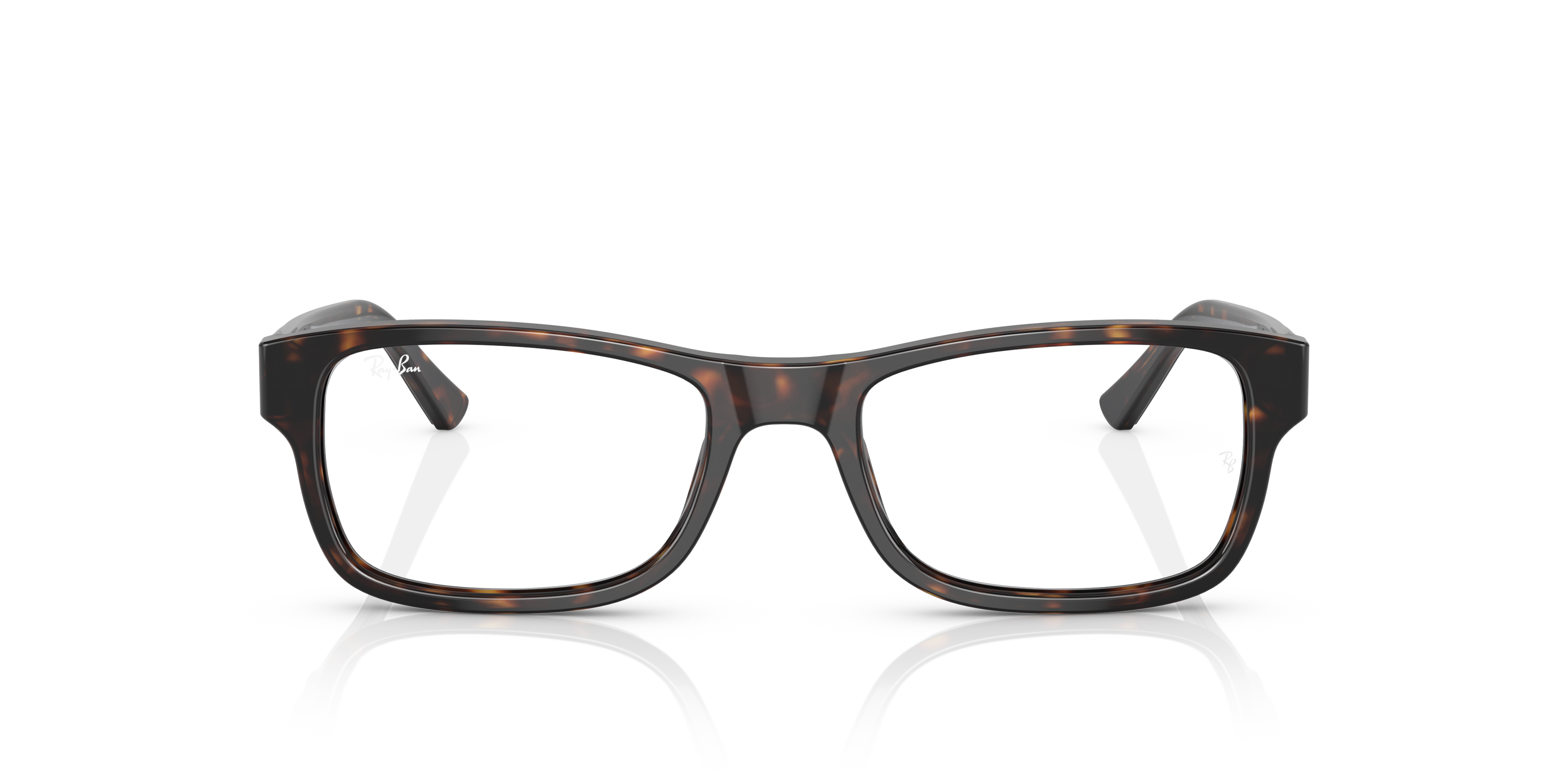 RB5268 Optics