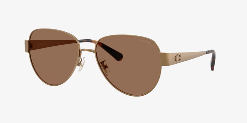 Michael Kors MK1160 Biarritz Sunglasses | LensCrafters