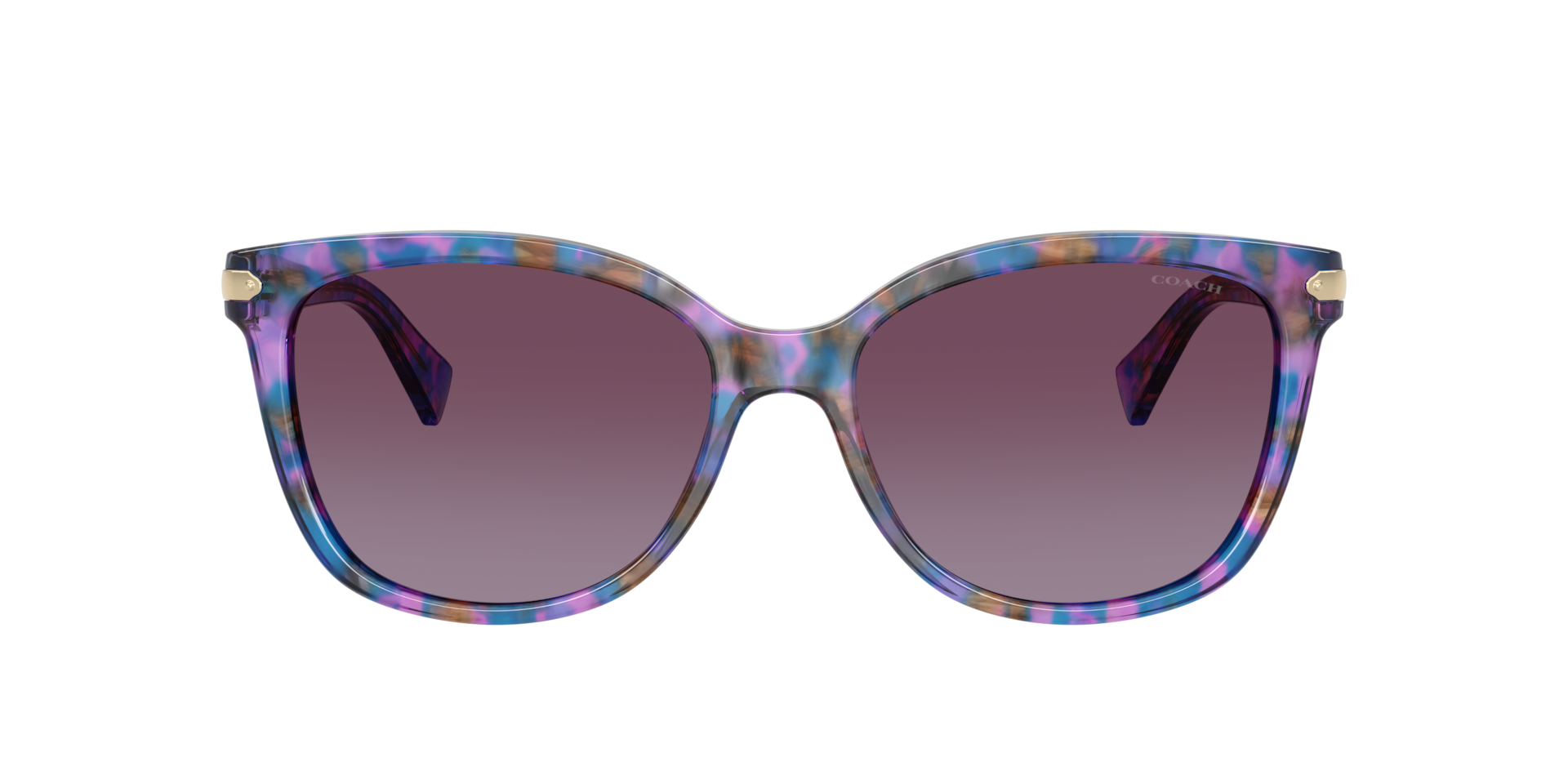 Coach HC8132 L109 Sunglasses | LensCrafters