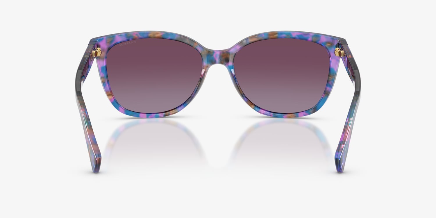 Coach HC8132 L109 Sunglasses | LensCrafters display picture 3
