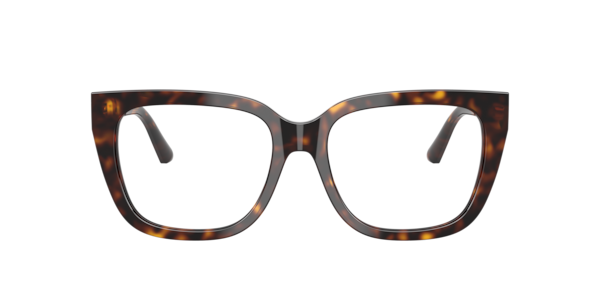 Jimmy Choo 0JC3019B Tortoiseshell Acetate Eyeglasses — Brown
