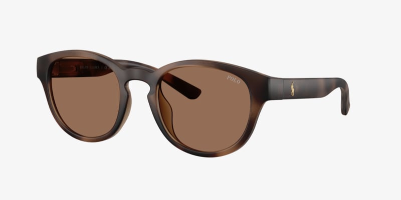 Polo Ralph Lauren PH4110 Sunglasses | LensCrafters