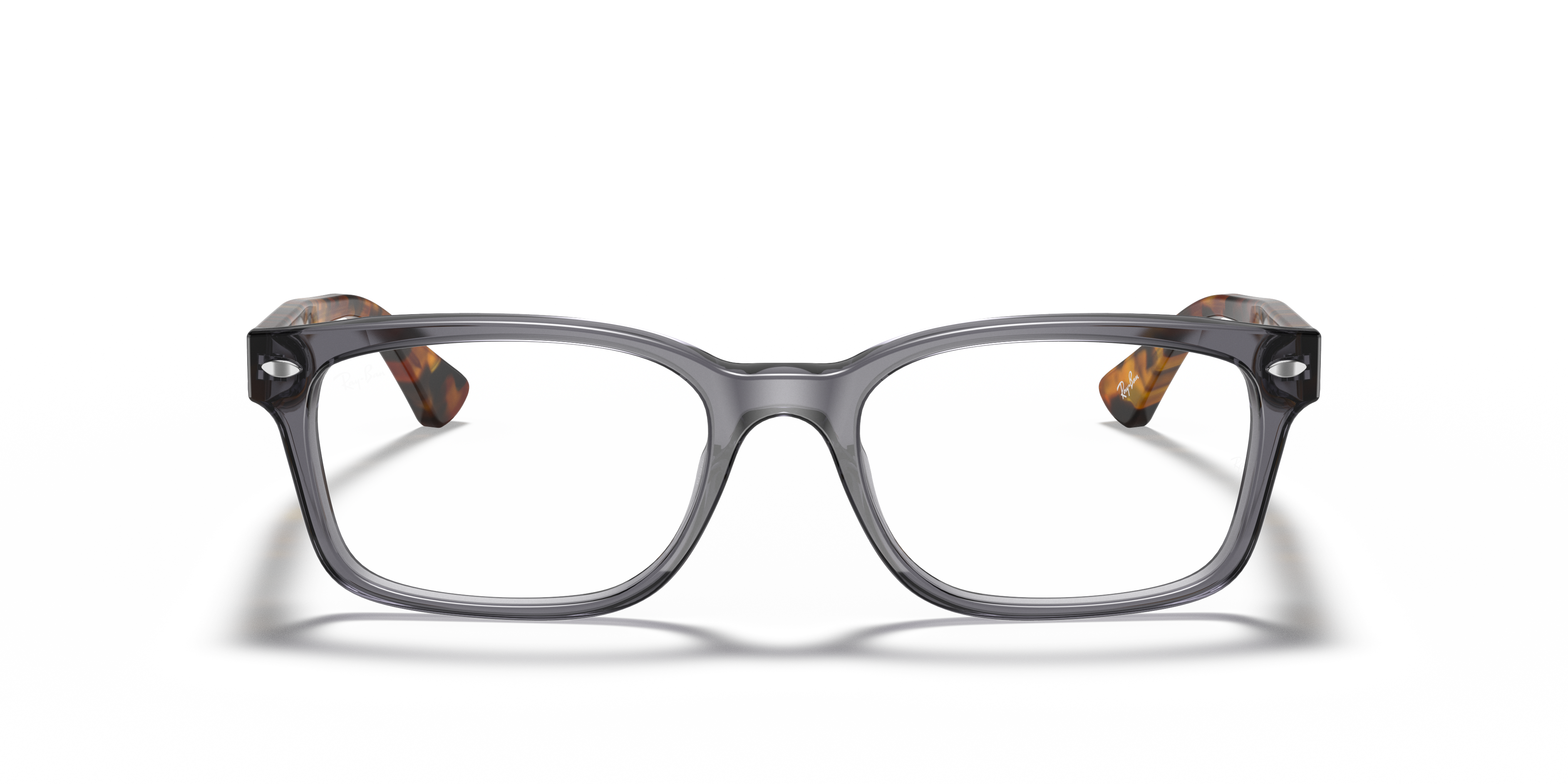 RB5286 Optics