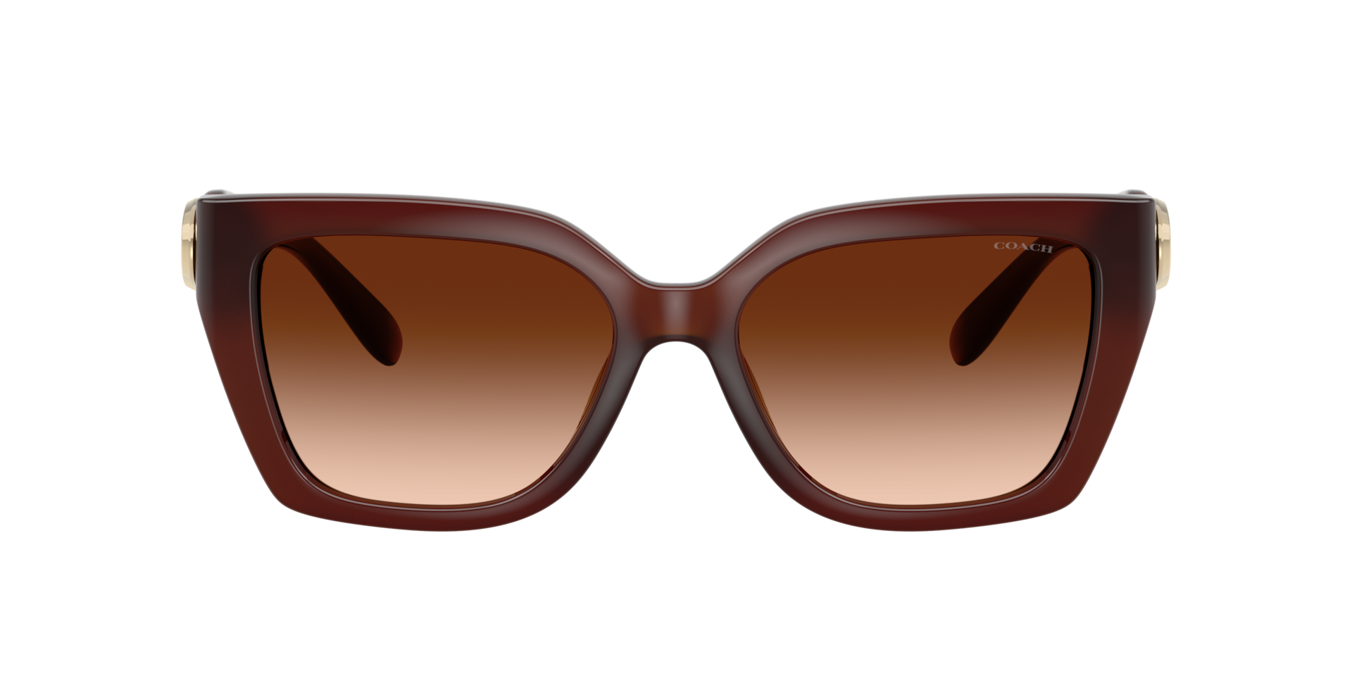 Coach HC8408U CW195 Sunglasses | LensCrafters