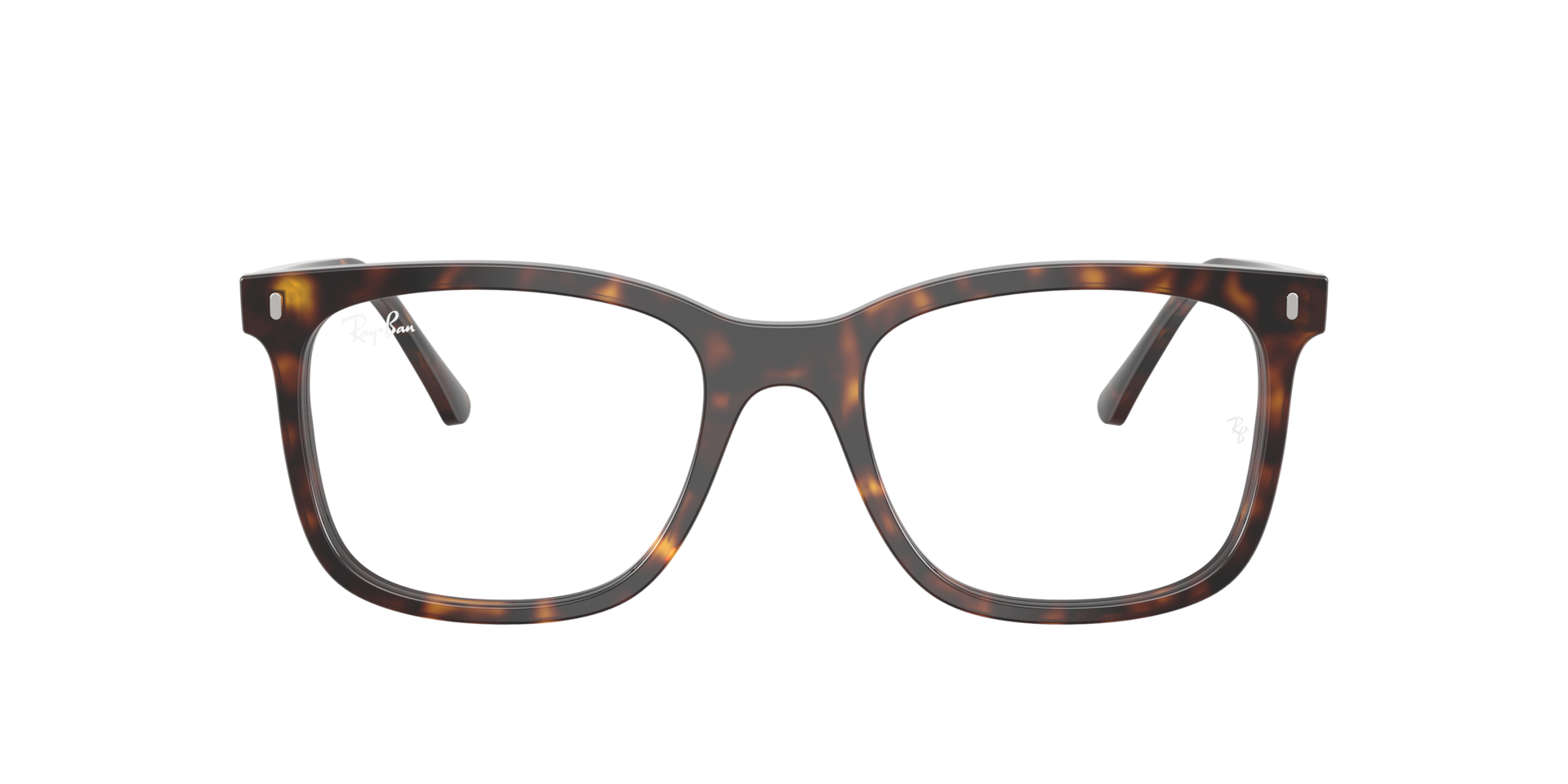 RB5446 Optics