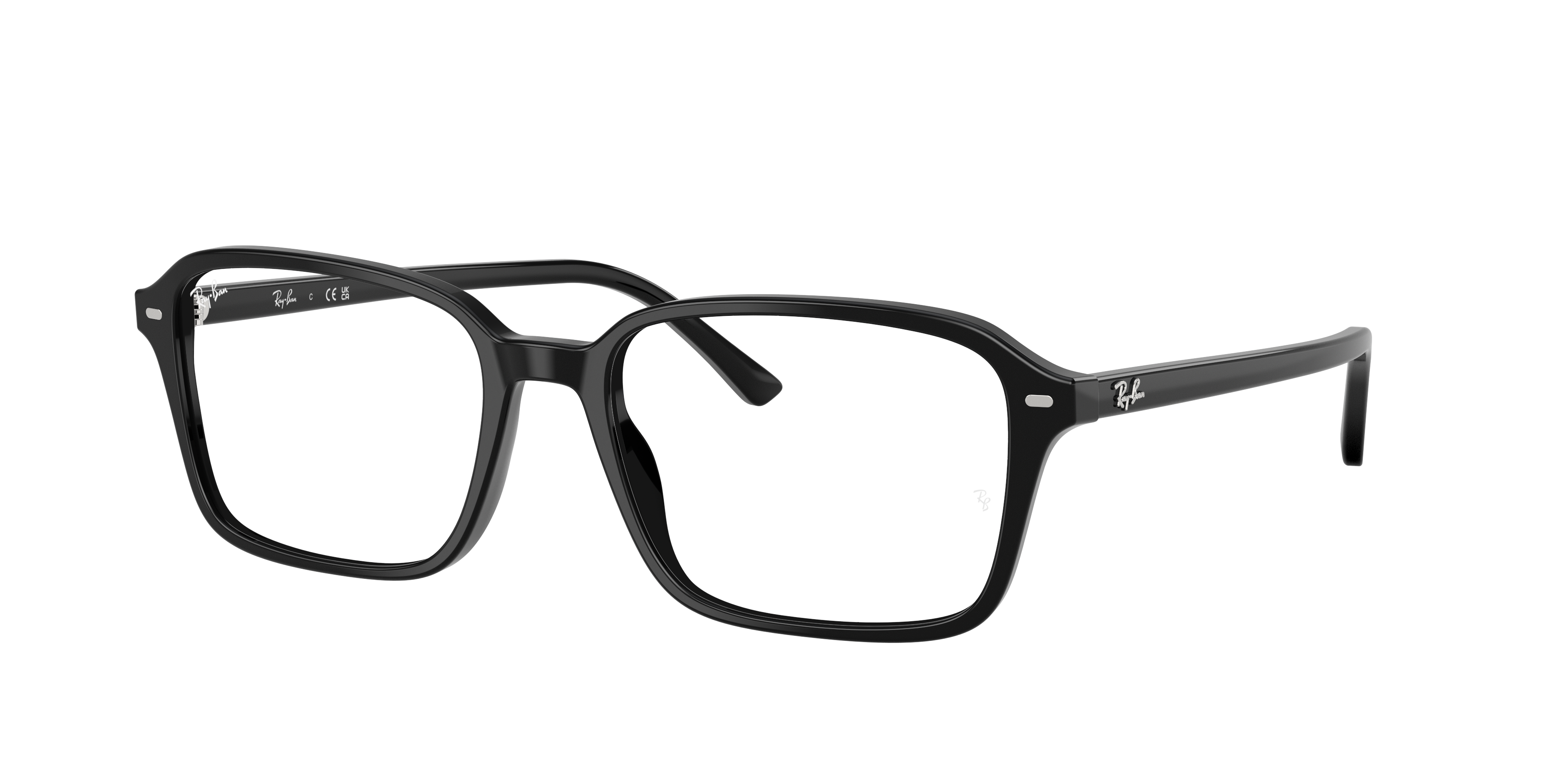 RB5431 Raimond Optics