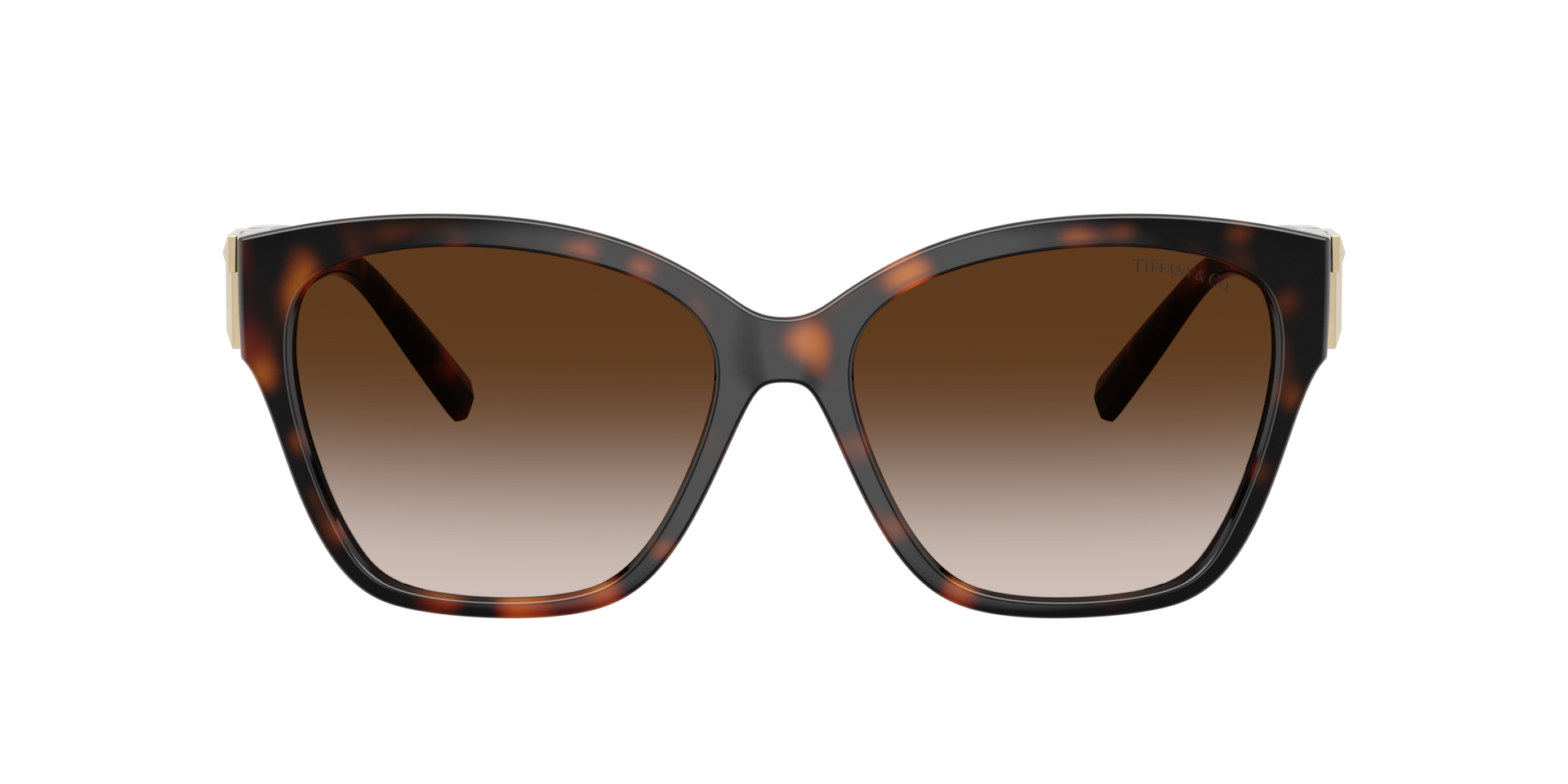 Tiffany & Co. サングラス 0TF4253F Tiffany TF4254U Sunglasses | LensCrafters