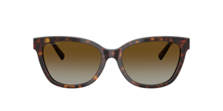 Tiffany TF4237B Sunglasses | LensCrafters