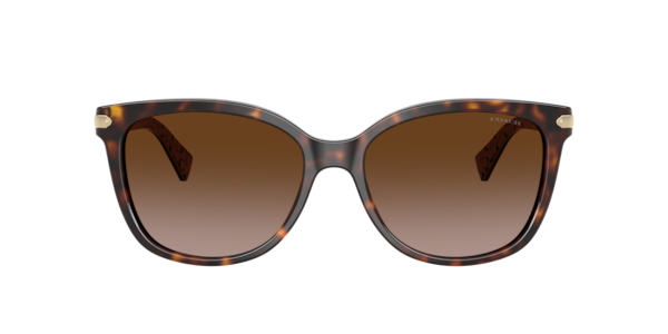 Coach HC8132 L109 Sunglasses | LensCrafters