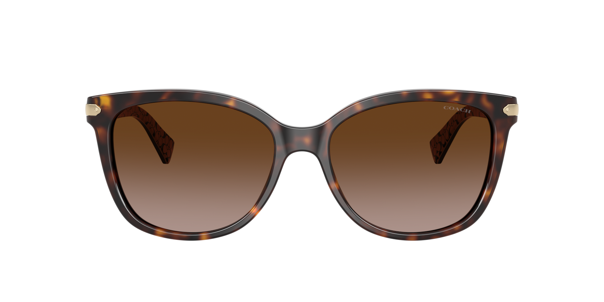 Coach HC8132 L109 Sunglasses | LensCrafters