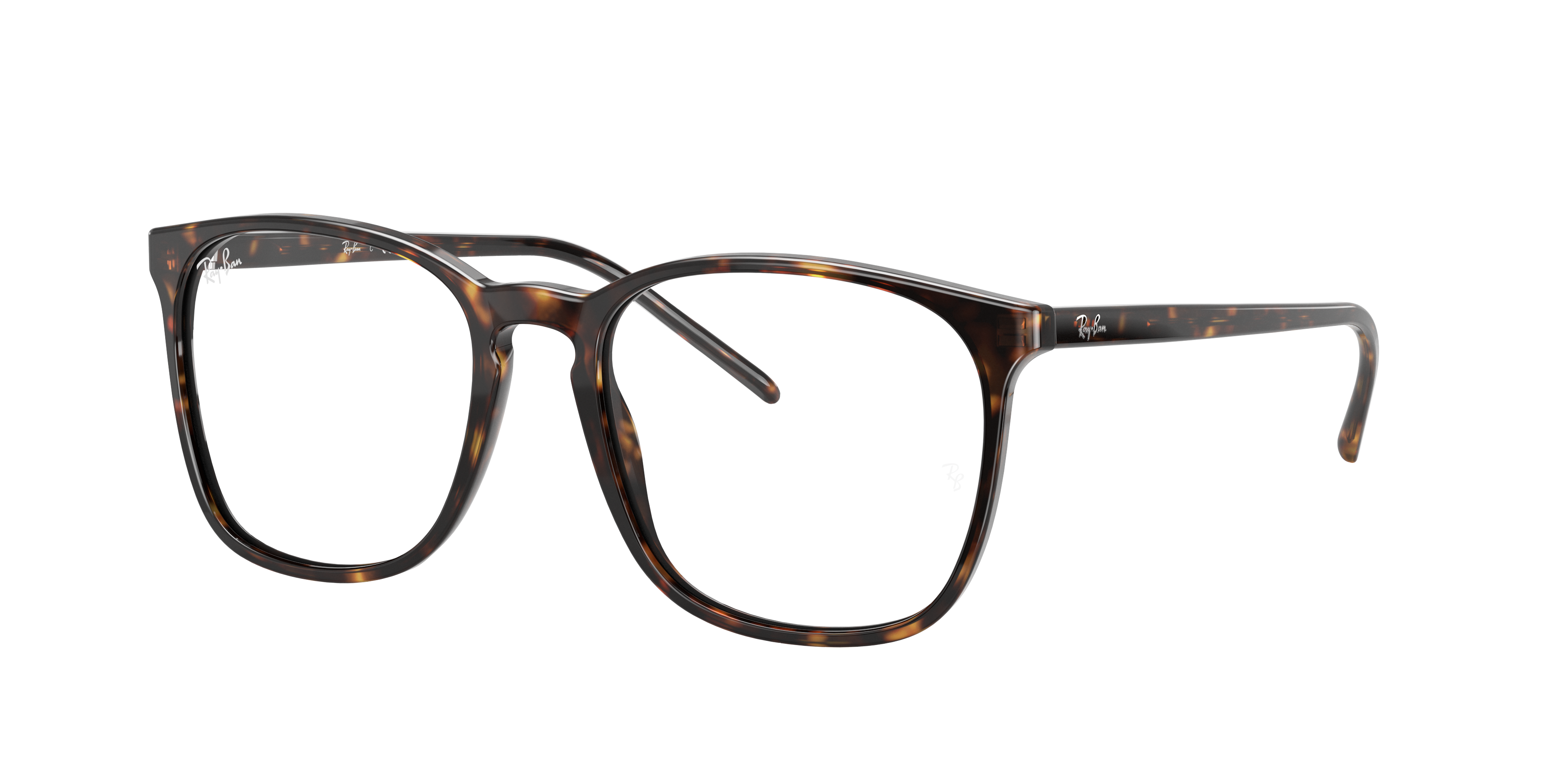 RB5387 Optics