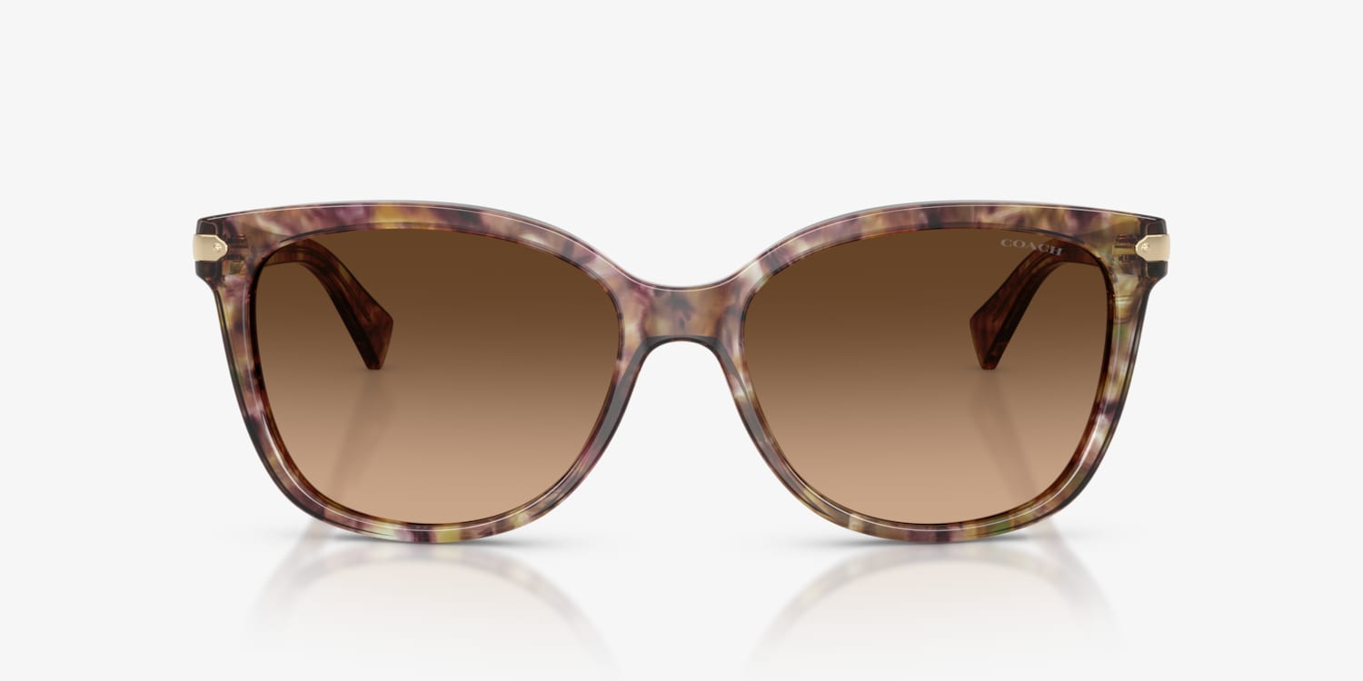 Coach Oversized Tortoiseshell Sunglasses with Brown Gradient Lenses Amazon.com: COACH HC8132 Sunglasses, Black Tortoise Gradient  main image 3
