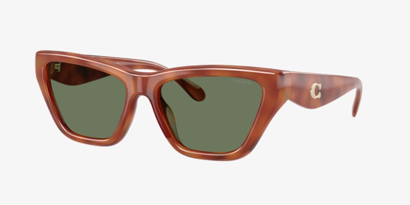 Coach HC8421U CAD31 Sunglasses | LensCrafters