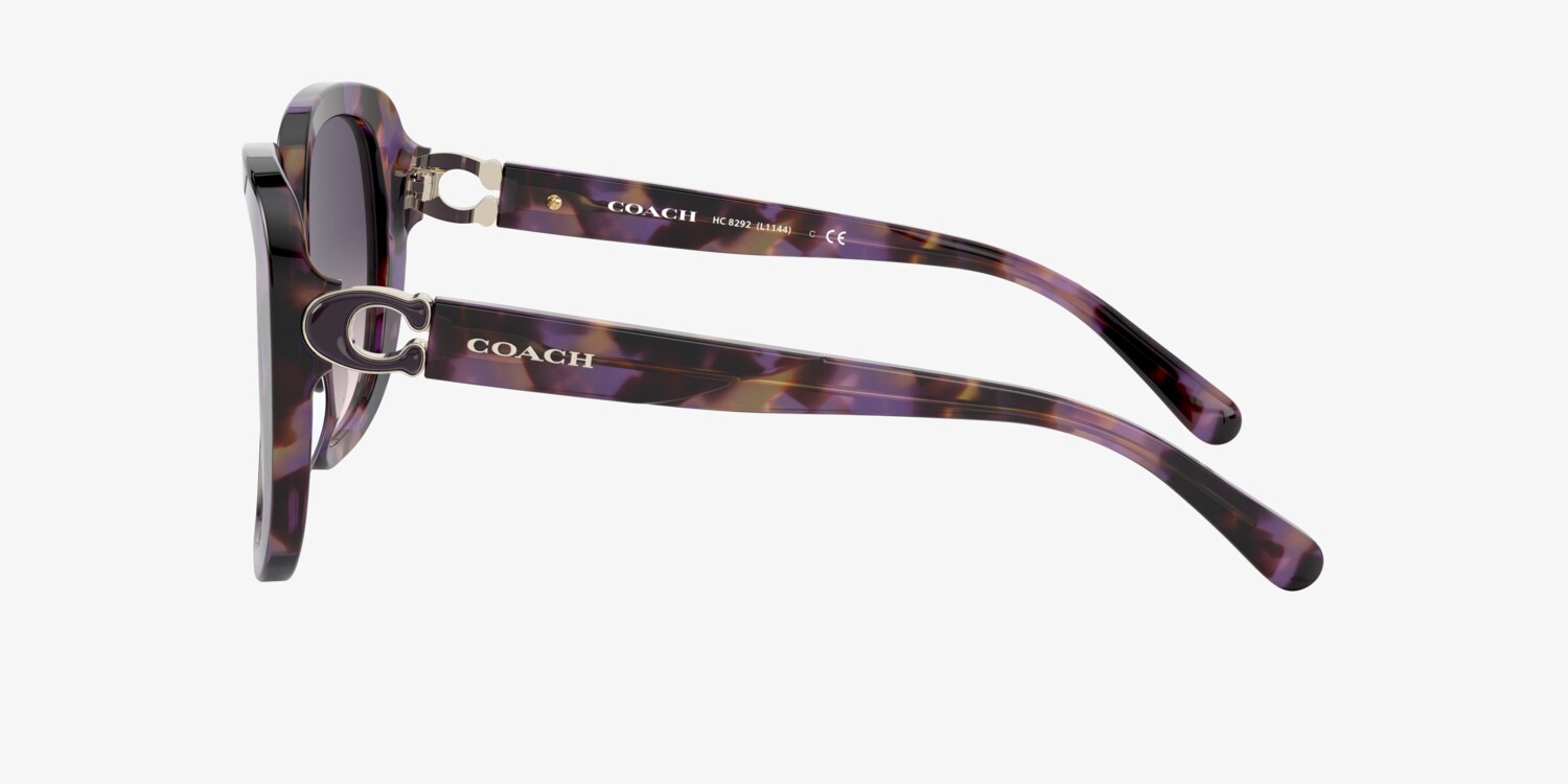 Coach HC8292 L1144 Sunglasses | LensCrafters