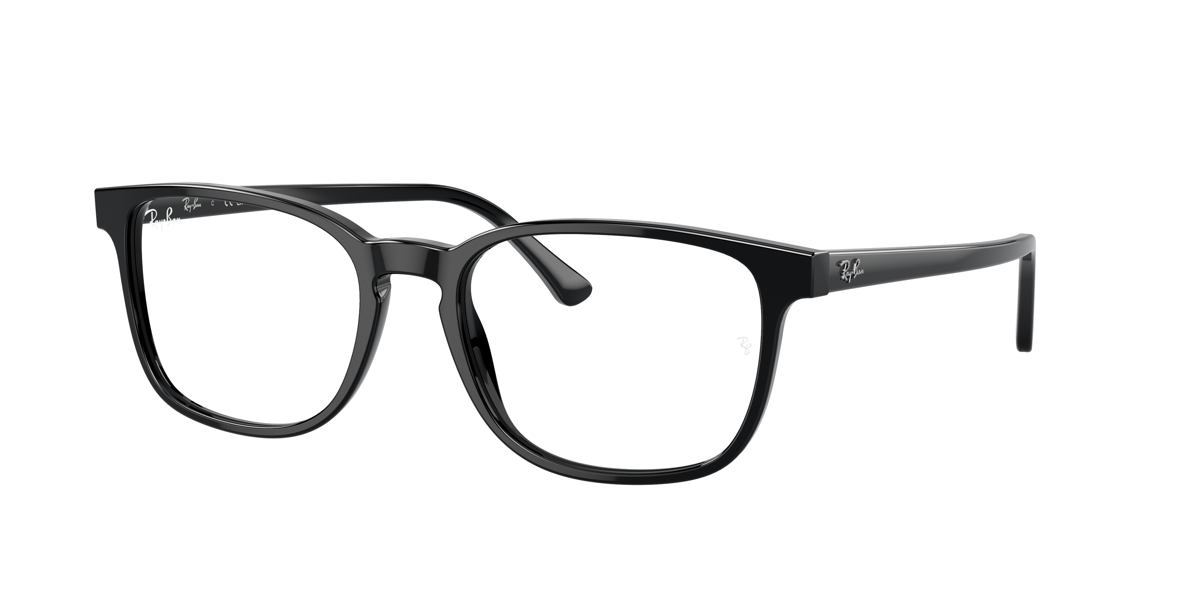 RB5418 Optics