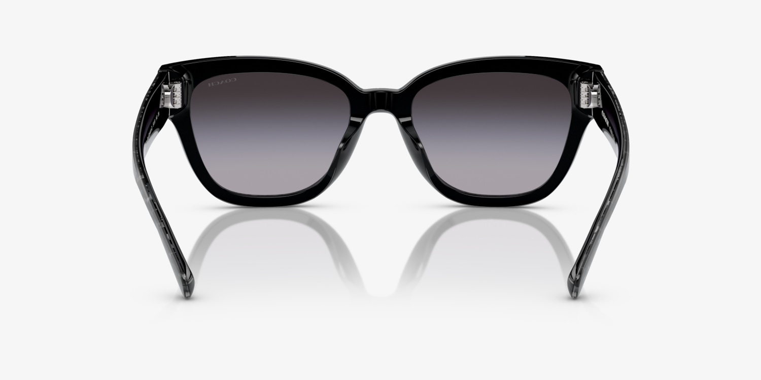 Coach HC8379U CL920 Sunglasses | LensCrafters