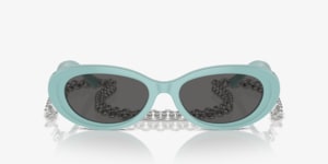 Tiffany TF4221 Sunglasses | LensCrafters