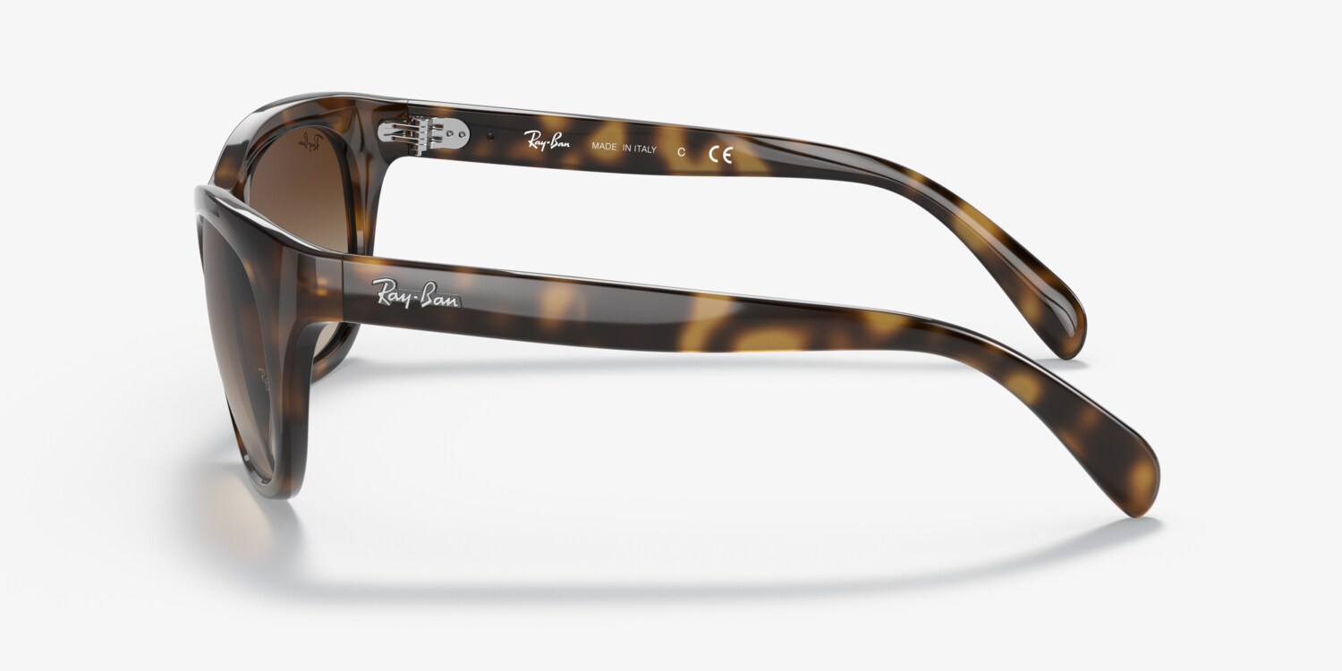 Ray-Ban RB4216 Sunglasses | LensCrafters