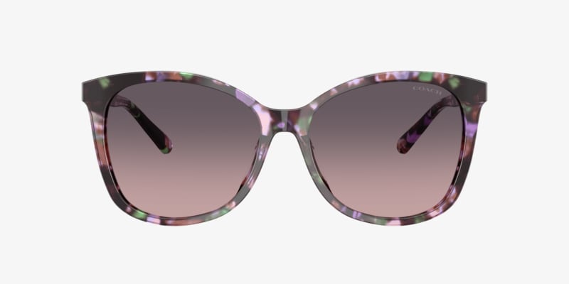 Coach HC8132 L109 Sunglasses | LensCrafters