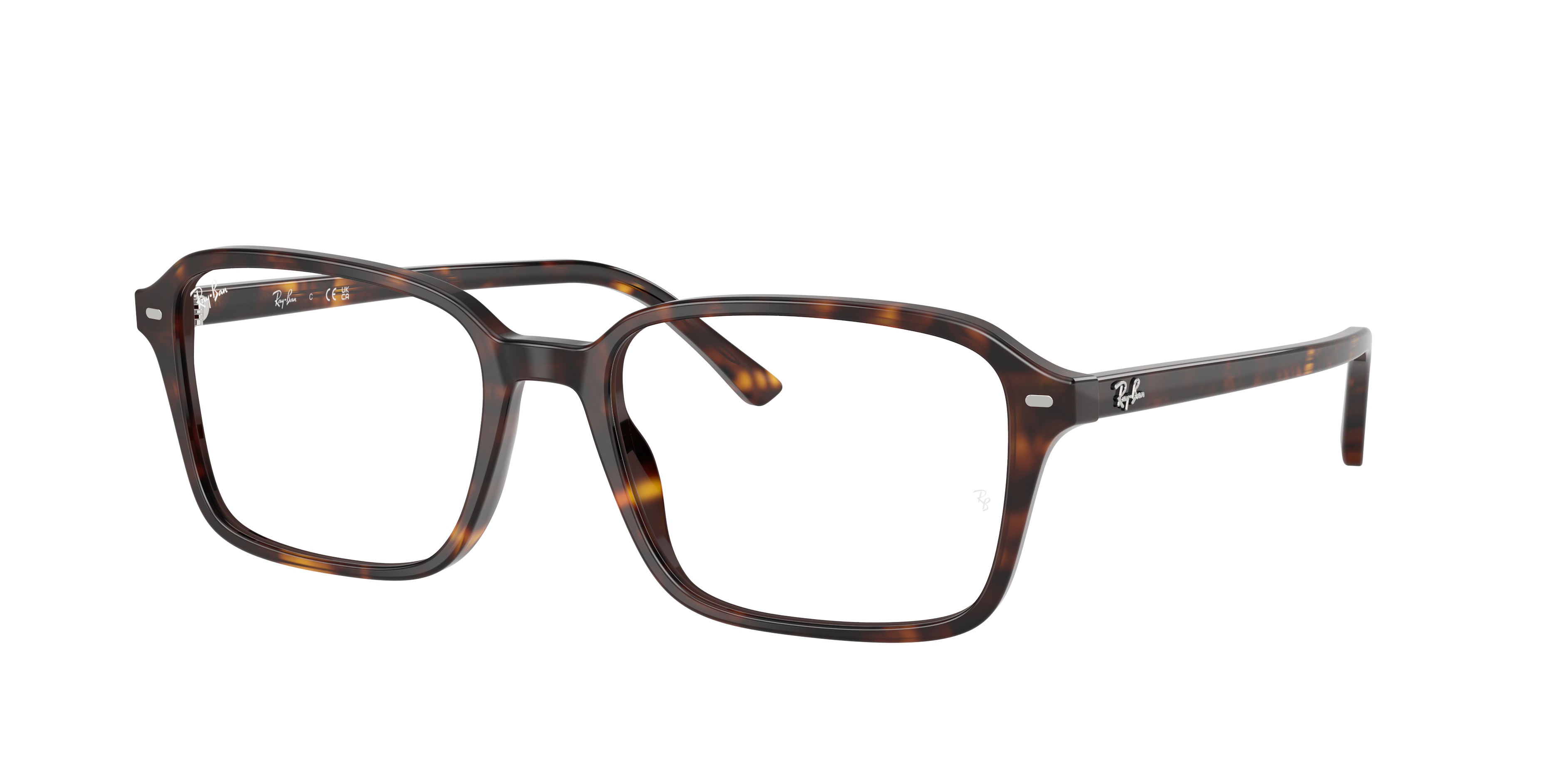 RB5431F Raimond Optics
