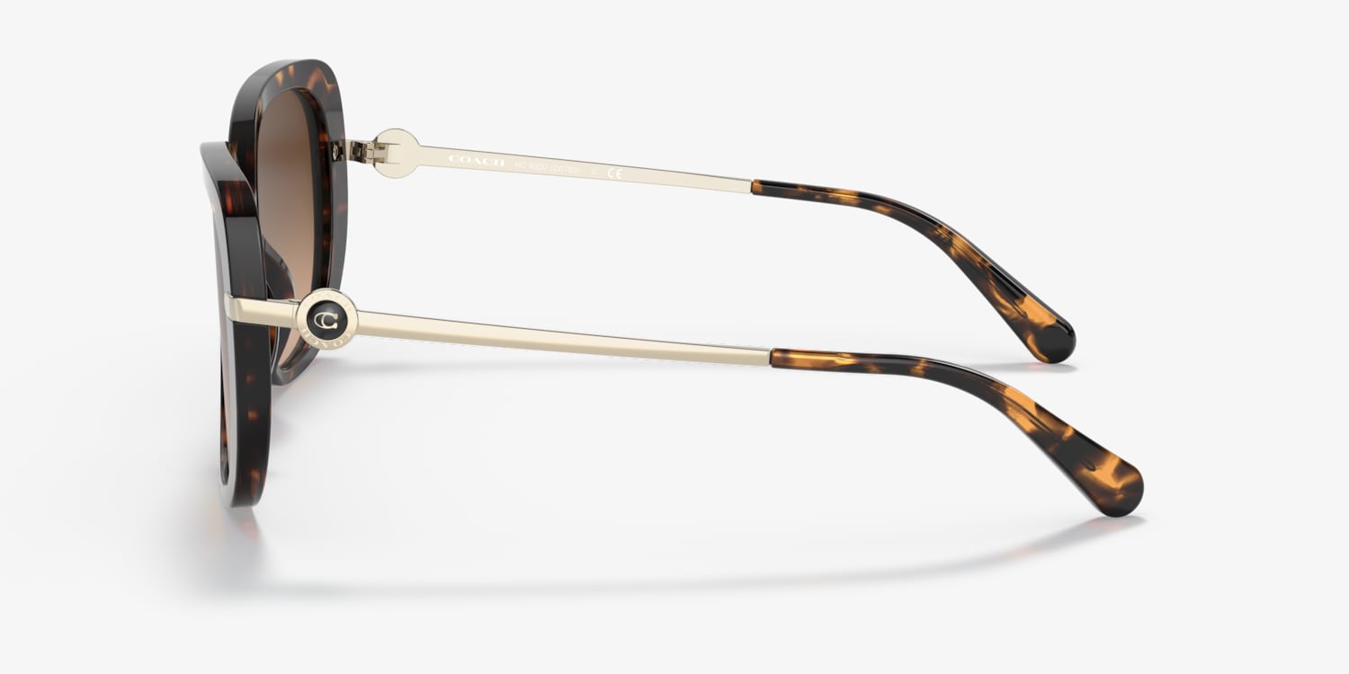 Coach HC8320 C6180 Sunglasses | LensCrafters