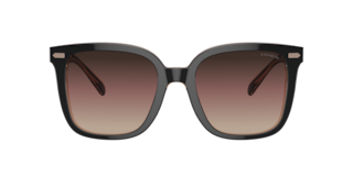 Coach HC8381U CL918 Sunglasses | LensCrafters