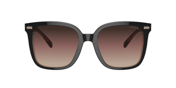 Coach Woman Sunglass CL918 - Frame color: Black, Lens color: Violet