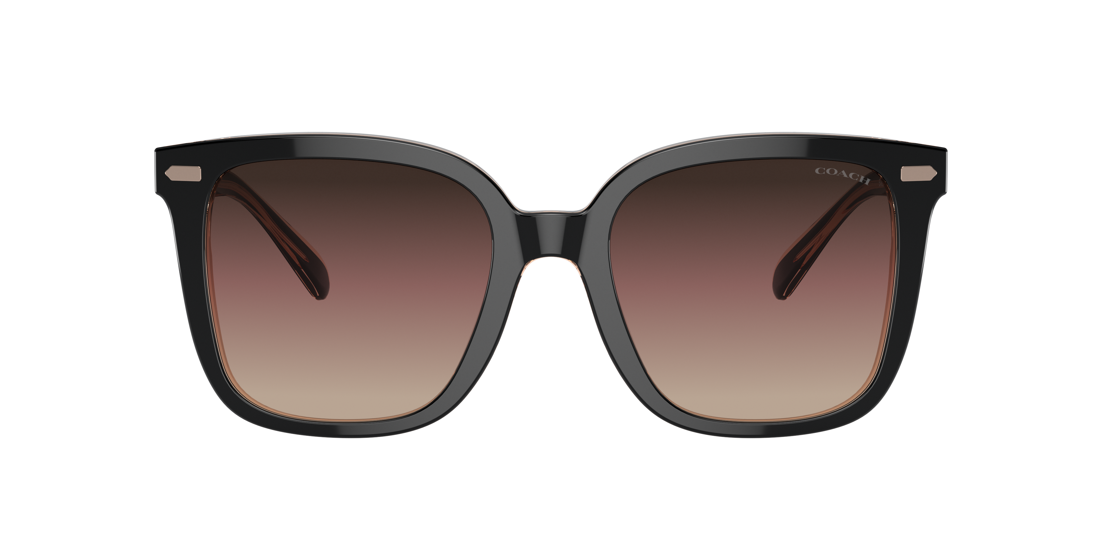 COACH サングラス 1948 BJK ONE Coach HC8381U CL918 Sunglasses | LensCrafters
