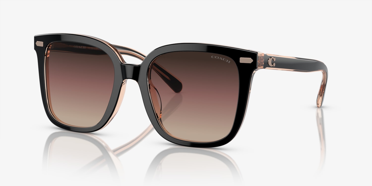 Coach HC8381U CL918 Sunglasses | LensCrafters