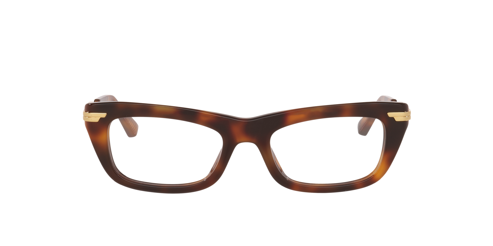 Bottega Veneta Woman  Tortoise