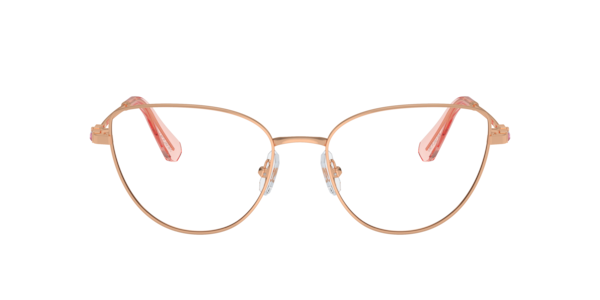 Swarovski SK1007 Eyeglasses | LensCrafters