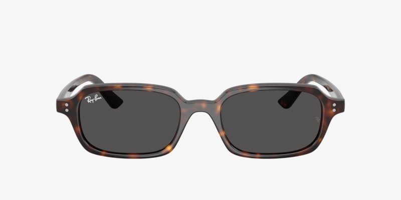 Ray-Ban RB4451 Sunglasses | LensCrafters