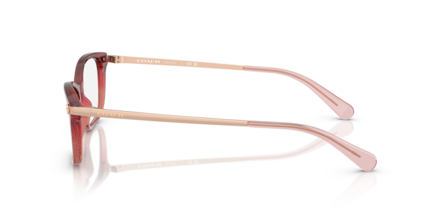 Coach Woman Pink Glitter Gradient