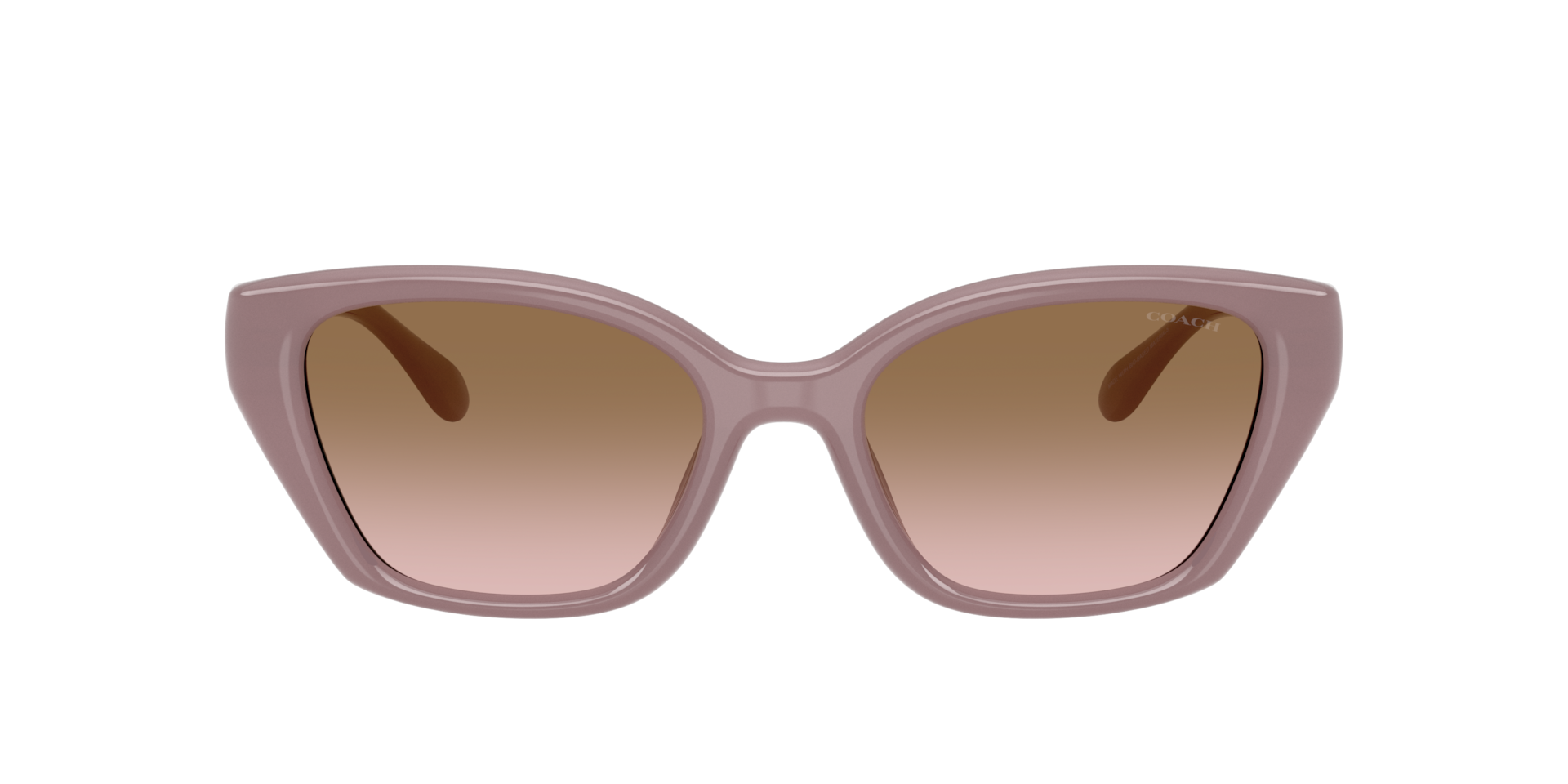 Coach HC8434U CBY91 Sunglasses | LensCrafters