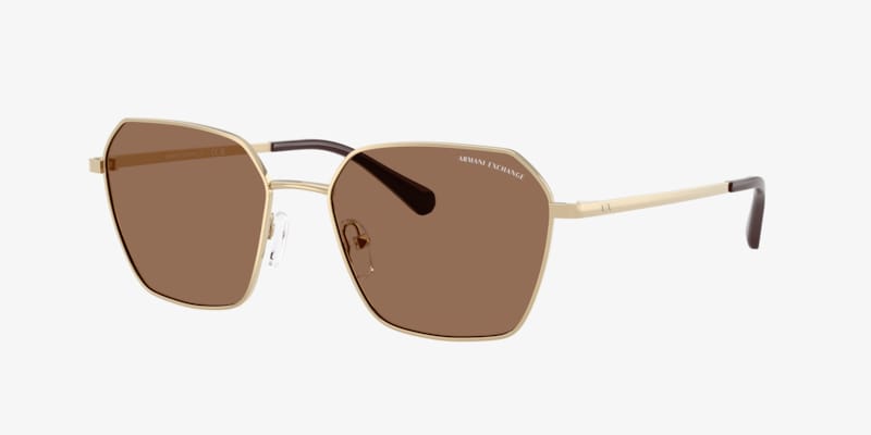 Michael Kors MK1081 Delphi Sunglasses | LensCrafters
