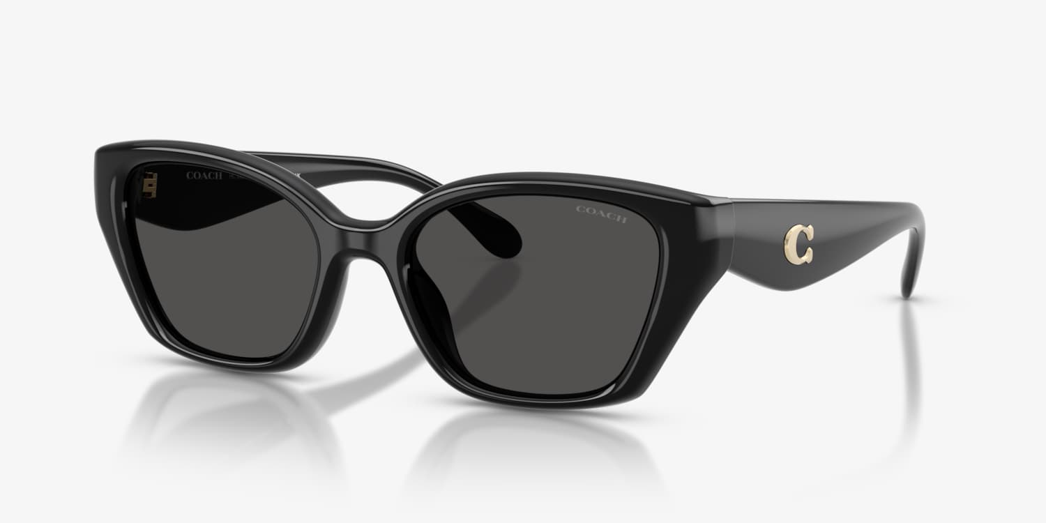 Coach HC8434U CBY91 Sunglasses | LensCrafters