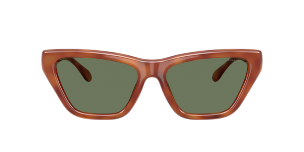 Coach HC8449U CDP33 Sunglasses | LensCrafters