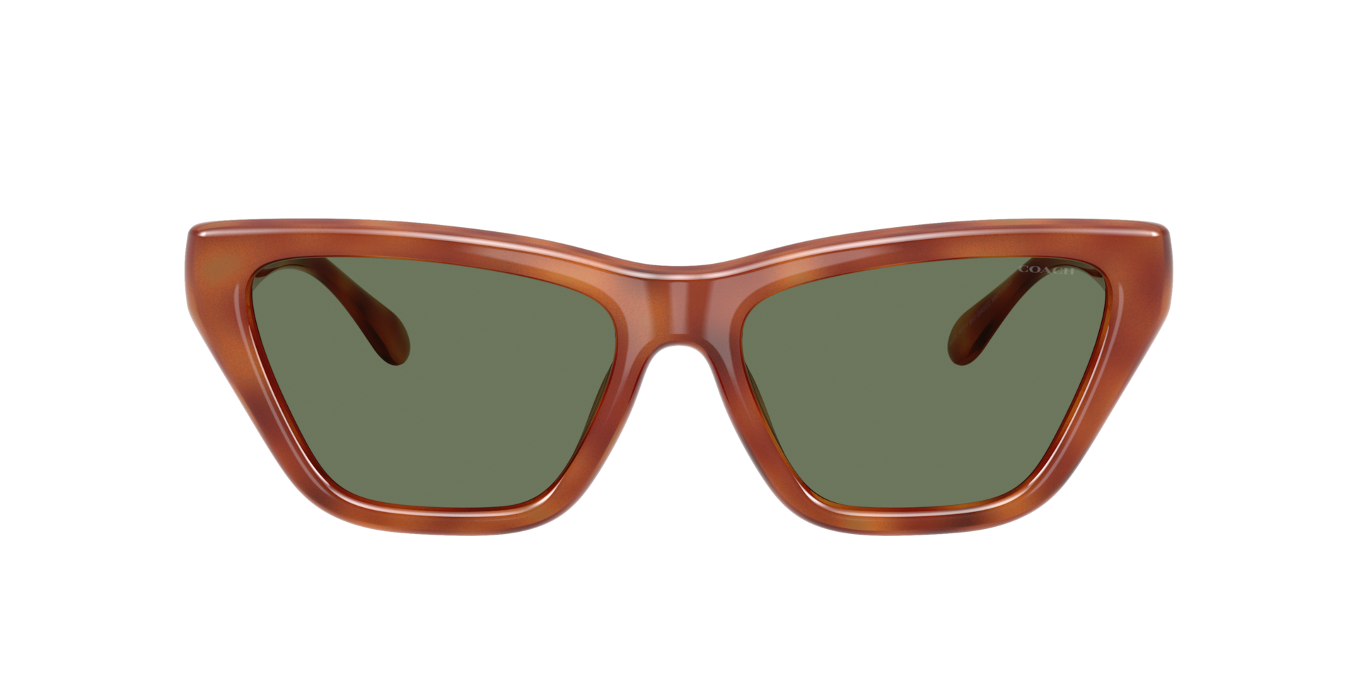 Coach HC8449U CDP33 Sunglasses | LensCrafters