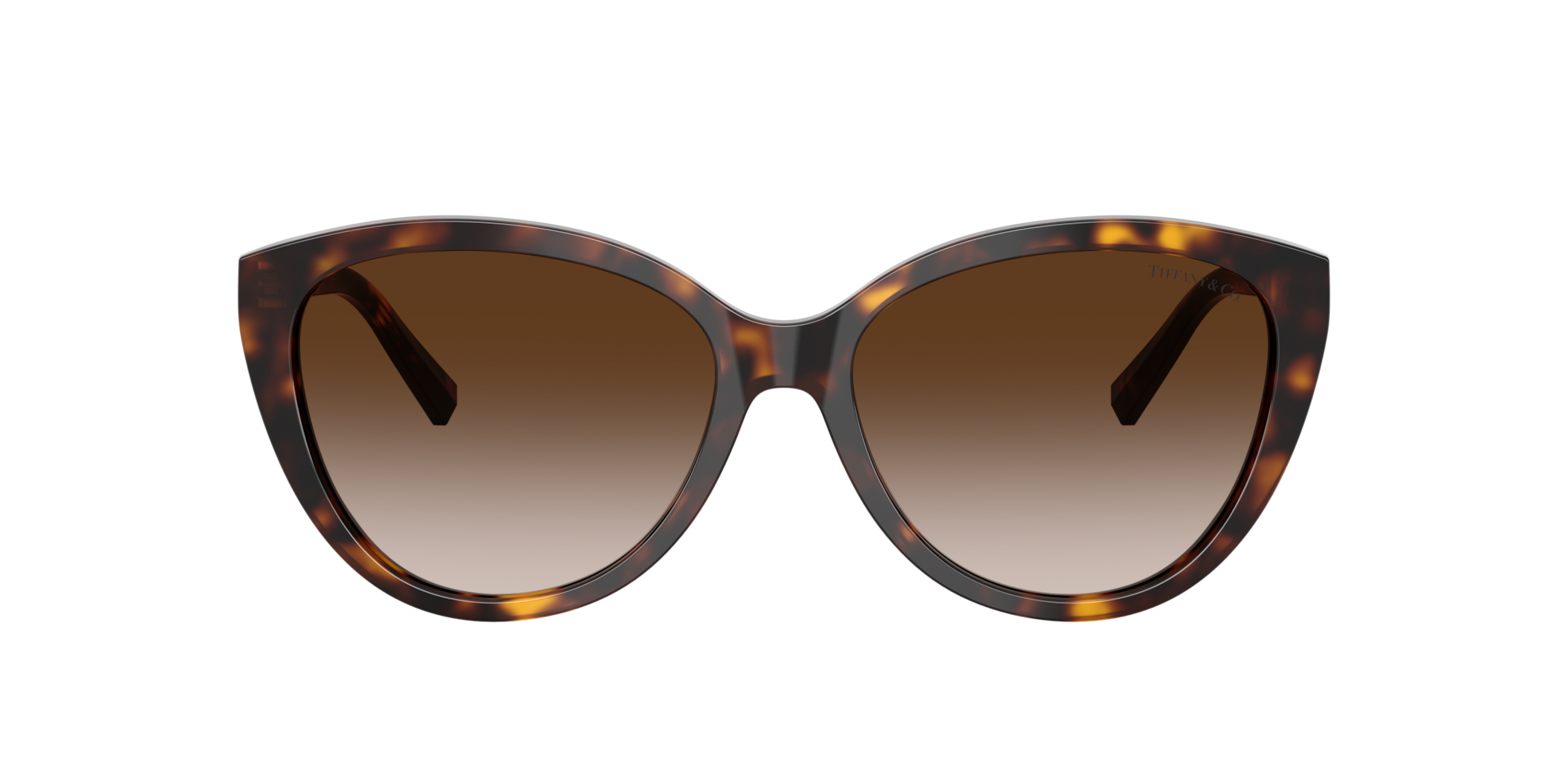 Tiffany TF4251 Sunglasses | LensCrafters