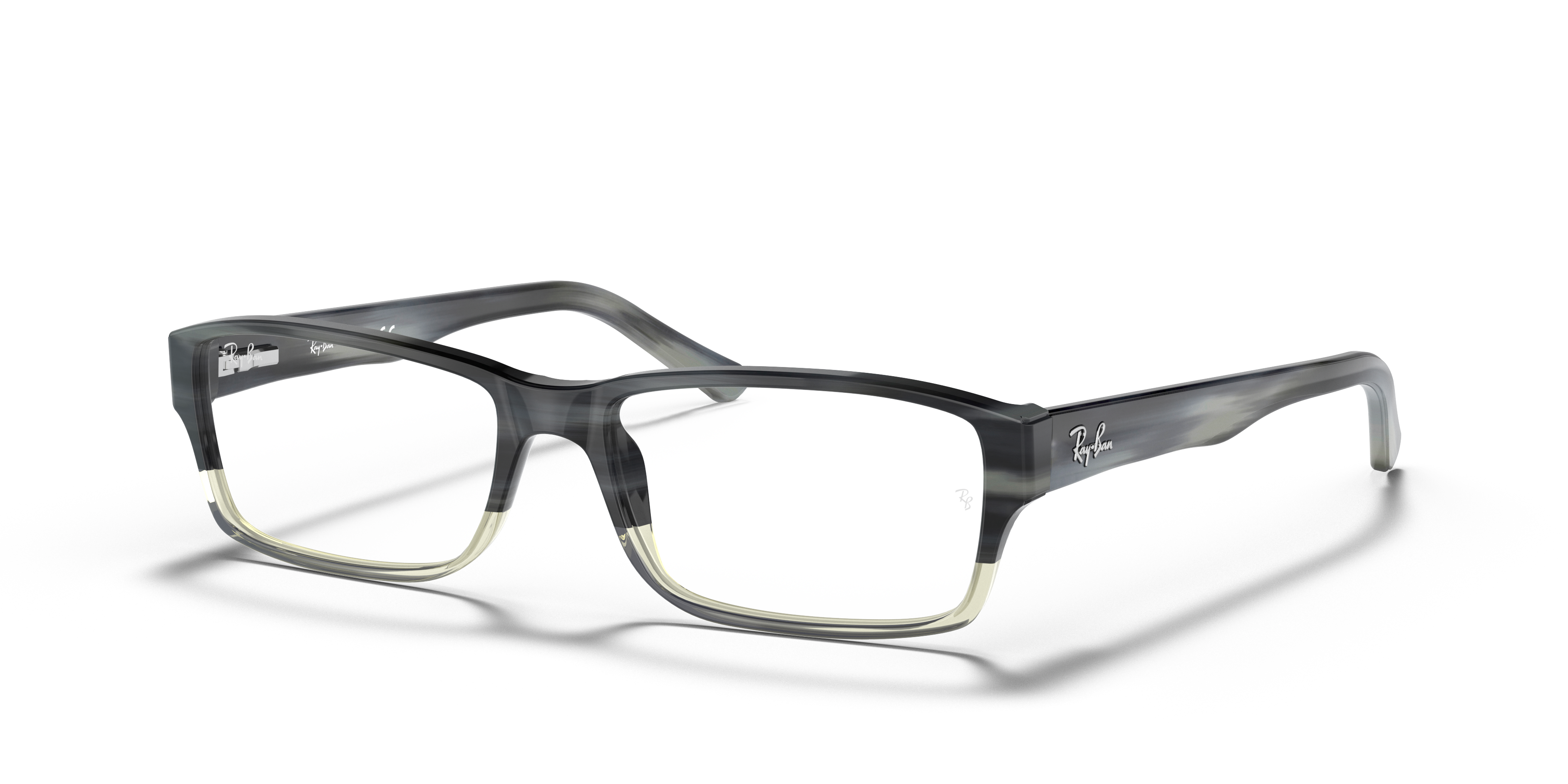 RB5169 Optics