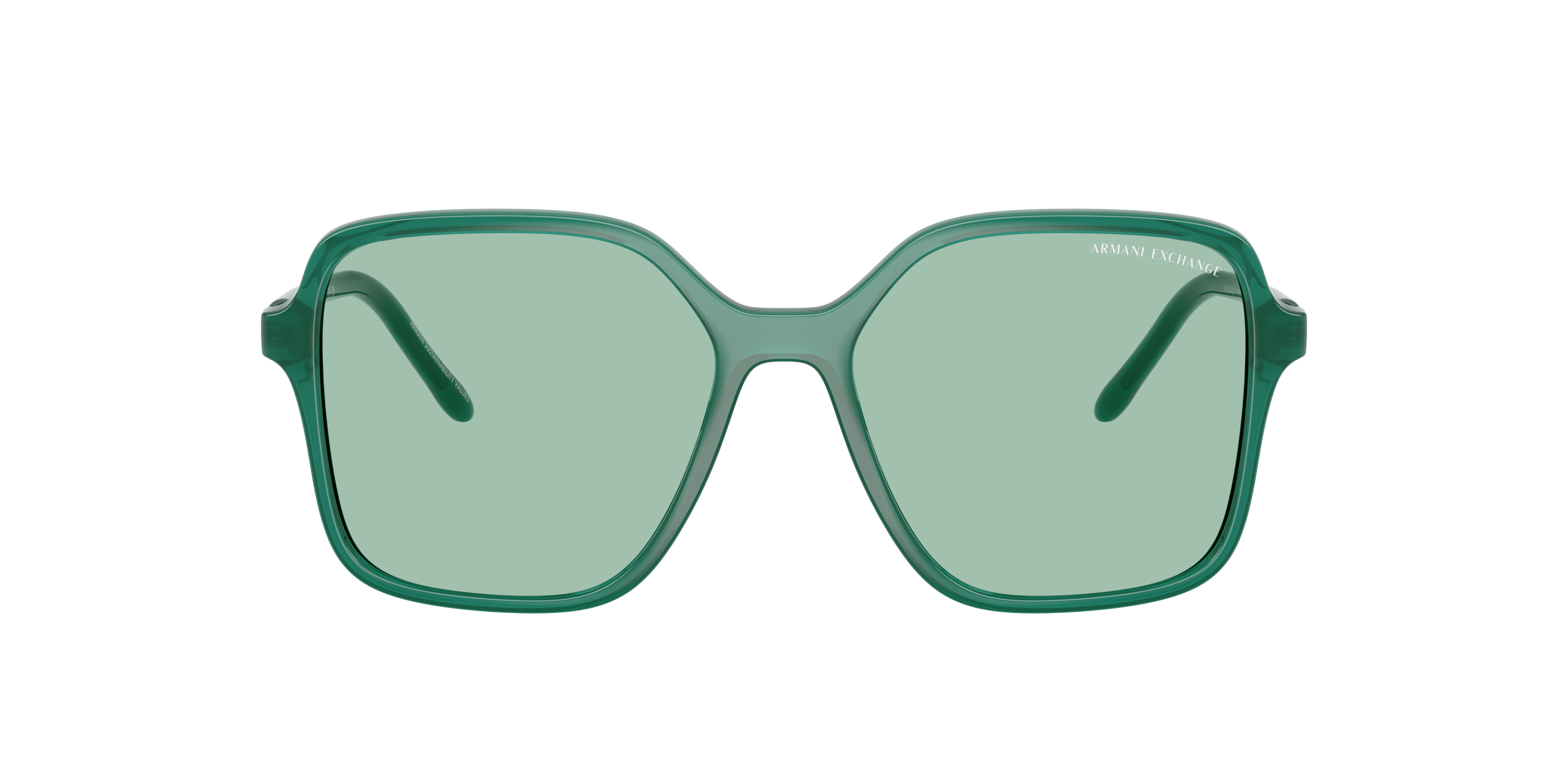 AX4163S