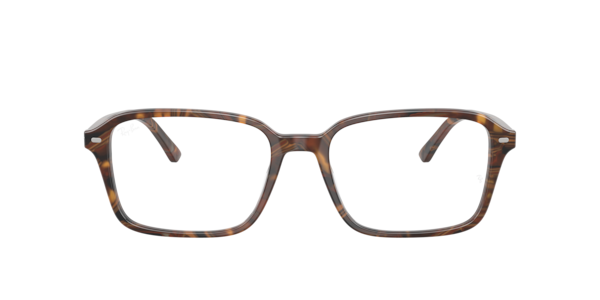 Ray-Ban RB5431 Raimond Optics Eyeglasses | LensCrafters