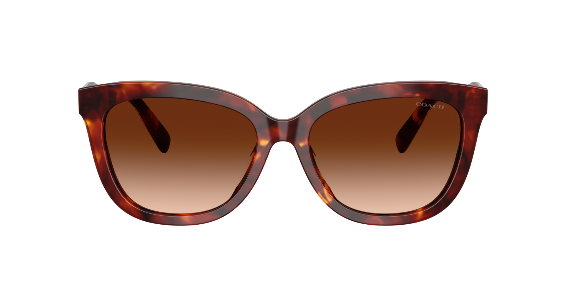 Coach HC8453U CDP53 Sunglasses | LensCrafters