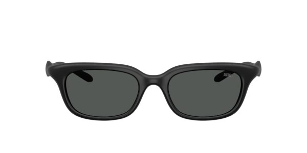 Diesel DL3013U Sunglasses | LensCrafters