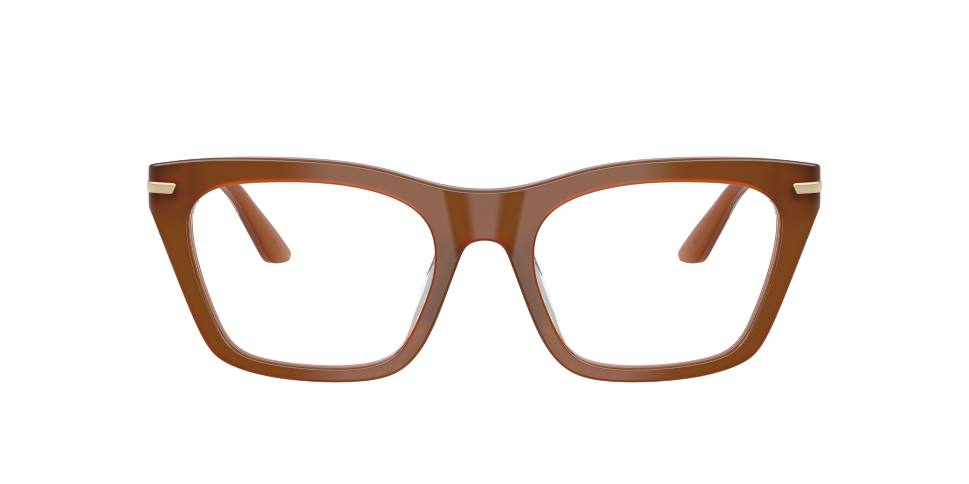 Emporio Armani Woman Tobacco 210$