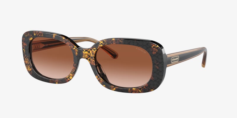 Coach HC8434U CBY91 Sunglasses | LensCrafters